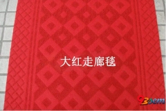 哈尔滨大红走廊毯
