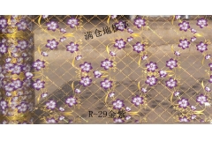 哈尔滨R-29金紫