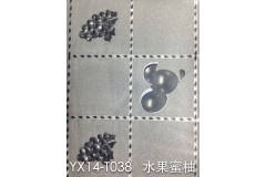 哈尔滨YX14-TO38 水果蜜柚